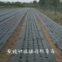 防草布各种会给支持定做厂家货源量大从优全国发货可视频看货