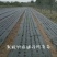 防草布各种会给支持定做厂家货源量大从优全国发货可视频看货