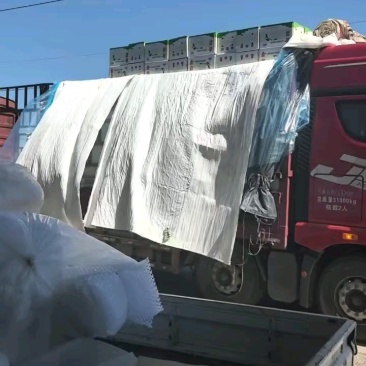 【产地直发】赵县皇冠梨皮薄肉细脆甜爆汁欢迎来电