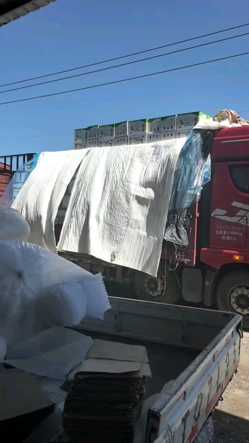 【产地直发】赵县皇冠梨皮薄肉细脆甜爆汁欢迎来电