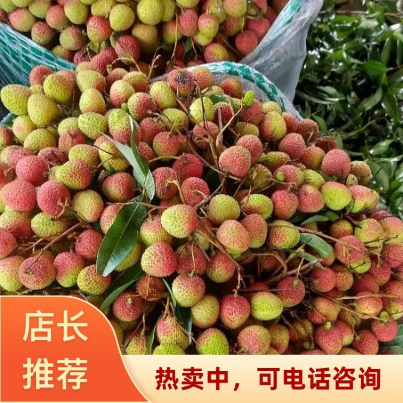 广西钦州浦北县妃子笑产地一手货源好吃不贵可看货