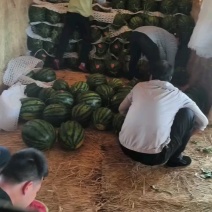 新鲜采摘，糖度13.6，仅五毛钱！