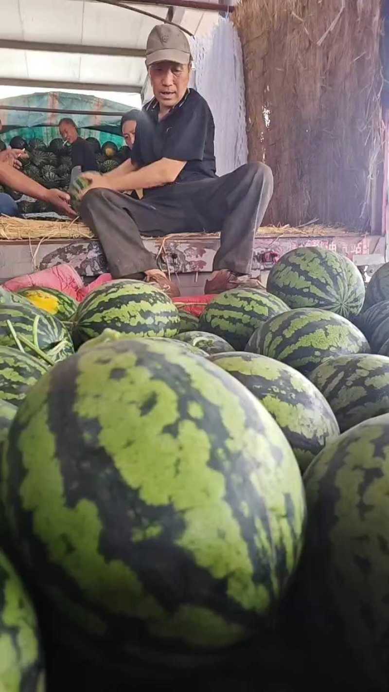 【热销】陕西大棚甜王西瓜，个头均匀！口感好，耐运输