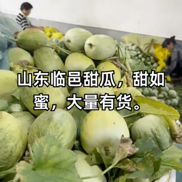 甜如蜜【热卖中】甜，脆，香，绿肉，绿瓤，个头一斤左右