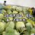 甜如蜜【热卖中】甜，脆，香，绿肉，绿瓤，个头一斤左右