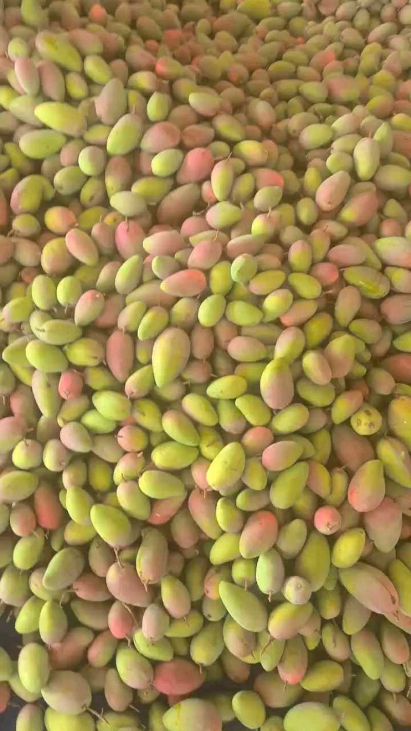 芒果贵妃.金黄.大青芒.台农大量上市对接各大平台一件代发