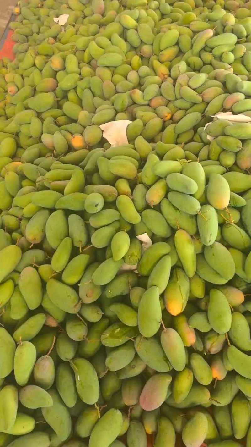 金黄芒果，一件代发，对接电商、商超等，价格便宜，欢迎