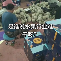 网纹甜瓜支持一件代发，社区团购，对接各大水果市场