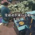 网纹甜瓜支持一件代发，社区团购，对接各大水果市场