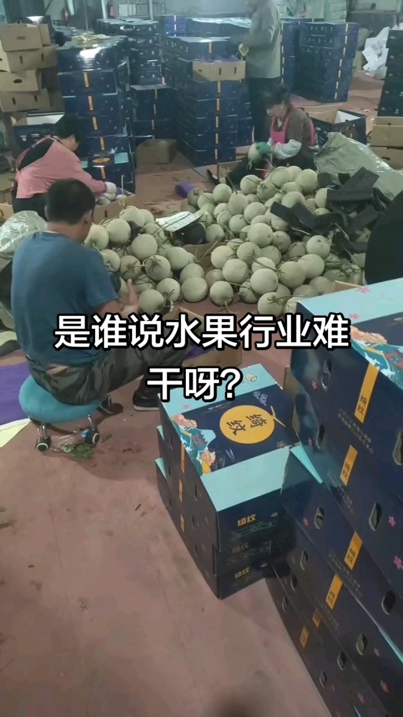 网纹甜瓜支持一件代发，社区团购，对接各大水果市场