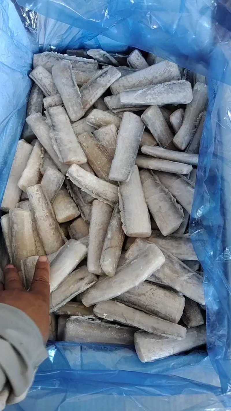 精品带鱼段16斤/箱，全国冷链发货，价格实惠！