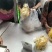 五指毛桃盐焗鸡地摊电商批发盐焗鸡摆摊卤味熟食全熟盐焗鸡