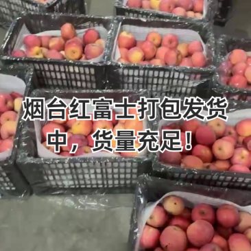 烟台红富士通货产地直发规格全
