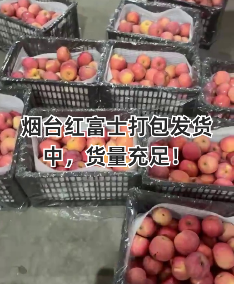 烟台红富士通货产地直发规格全