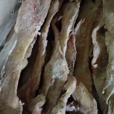 山东济南纯干牛板筋，精修无油，价格便宜！