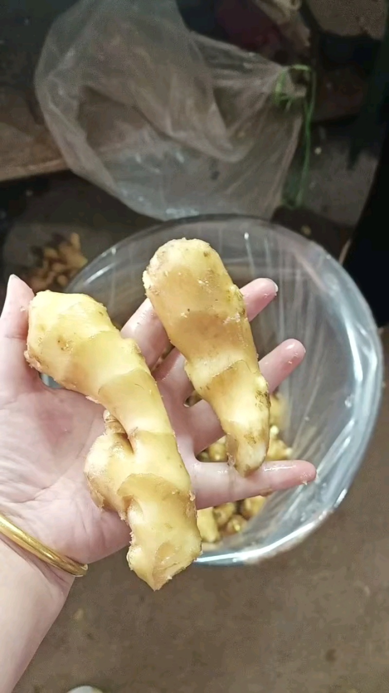 河南【大黄姜/一手货源】产地批发水洗姜/风干姜/沙土姜