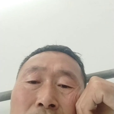 大蒜大量现货有红皮的有白皮的有蒜苔有装袋