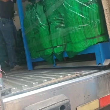 精品红帽蒜苔,货源稳定,产地直发对接全国市场(电商)