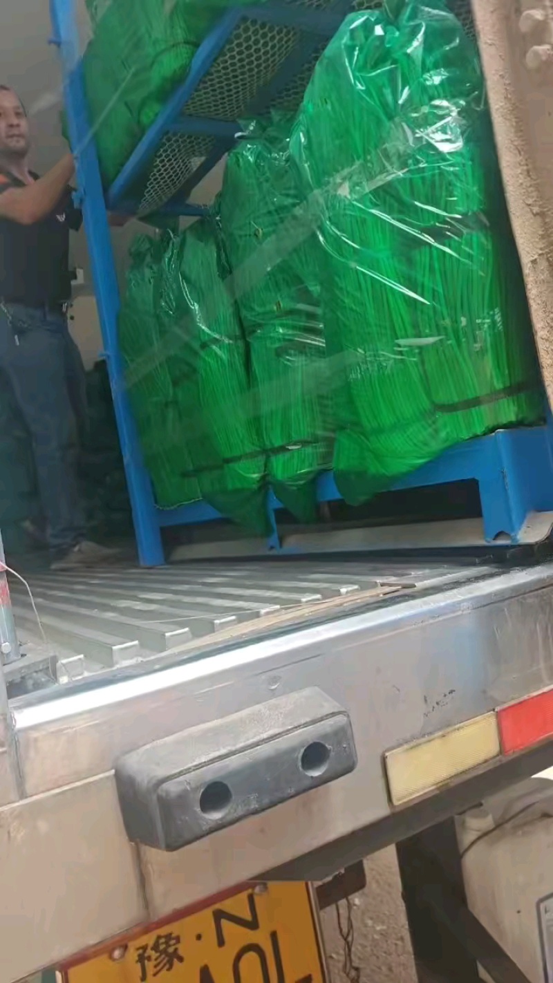 精品红帽蒜苔，货源稳定，产地直发对接全国市场（电商）