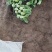 山西大同叶菜基地，精品油菜，产地一手货源，