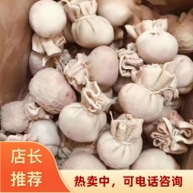 河南郑州中牟县清真肚包肉郑州万邦工厂直发诚信运营