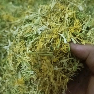 贵州精品山银花大量供应质量保证规格齐全全国发货
