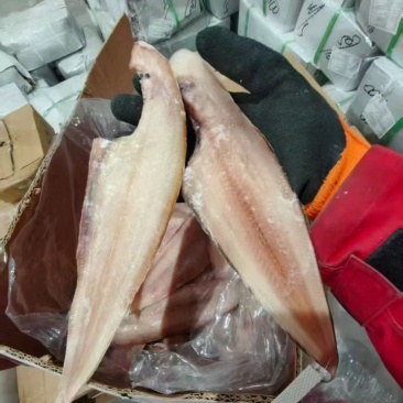 比目鱼鳎目鱼舌头鱼龙利鱼去皮去内脏