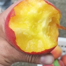 精品黄桃，又脆又甜，个头大，颜色好，果肉黄。