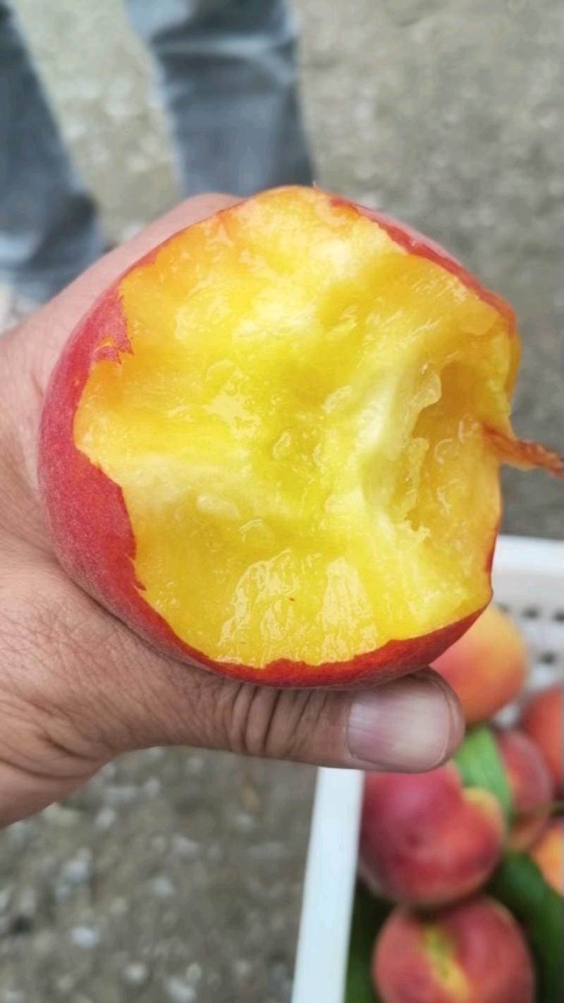 精品黄桃，又脆又甜，个头大，颜色好，果肉黄。