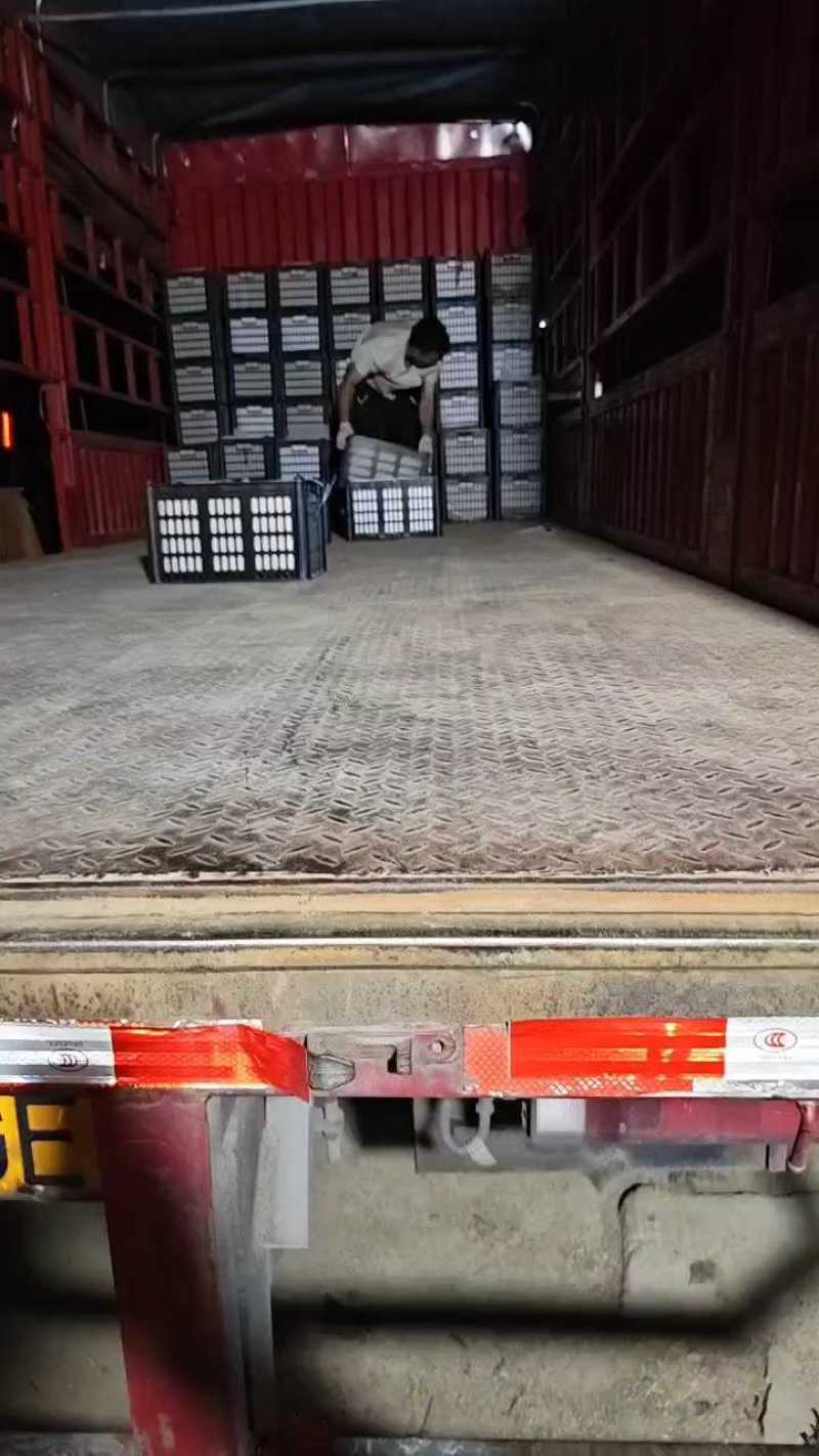 甜如蜜产地山东省临沂市费县一个在一斤，绿皮白肉口感翠甜