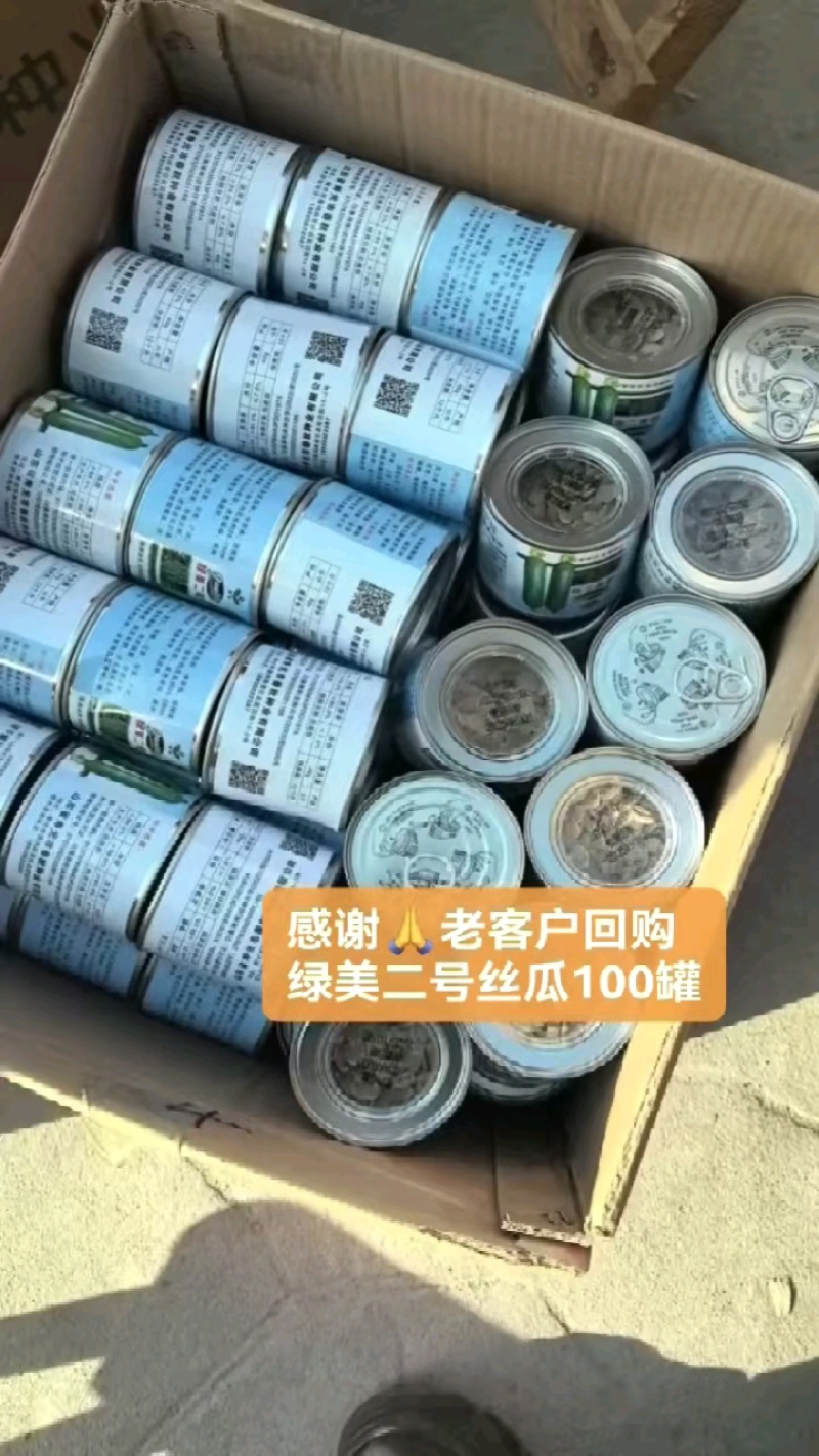 油亮肉丝瓜种子坐果率高果型顺直耐热春秋播种丝瓜种籽杂交种