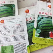 红娃娃3号大果甜王抗病性强囗感好含糖量高耐裂果20斤以上