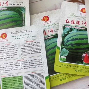 红娃娃3号大果甜王抗病性强囗感好含糖量高耐裂果20斤以上