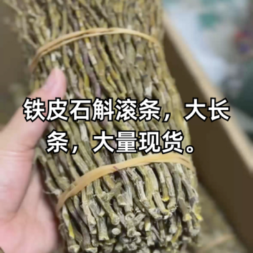 铁皮石斛石斛干条捆条全胶散条基地直发，诚信经营