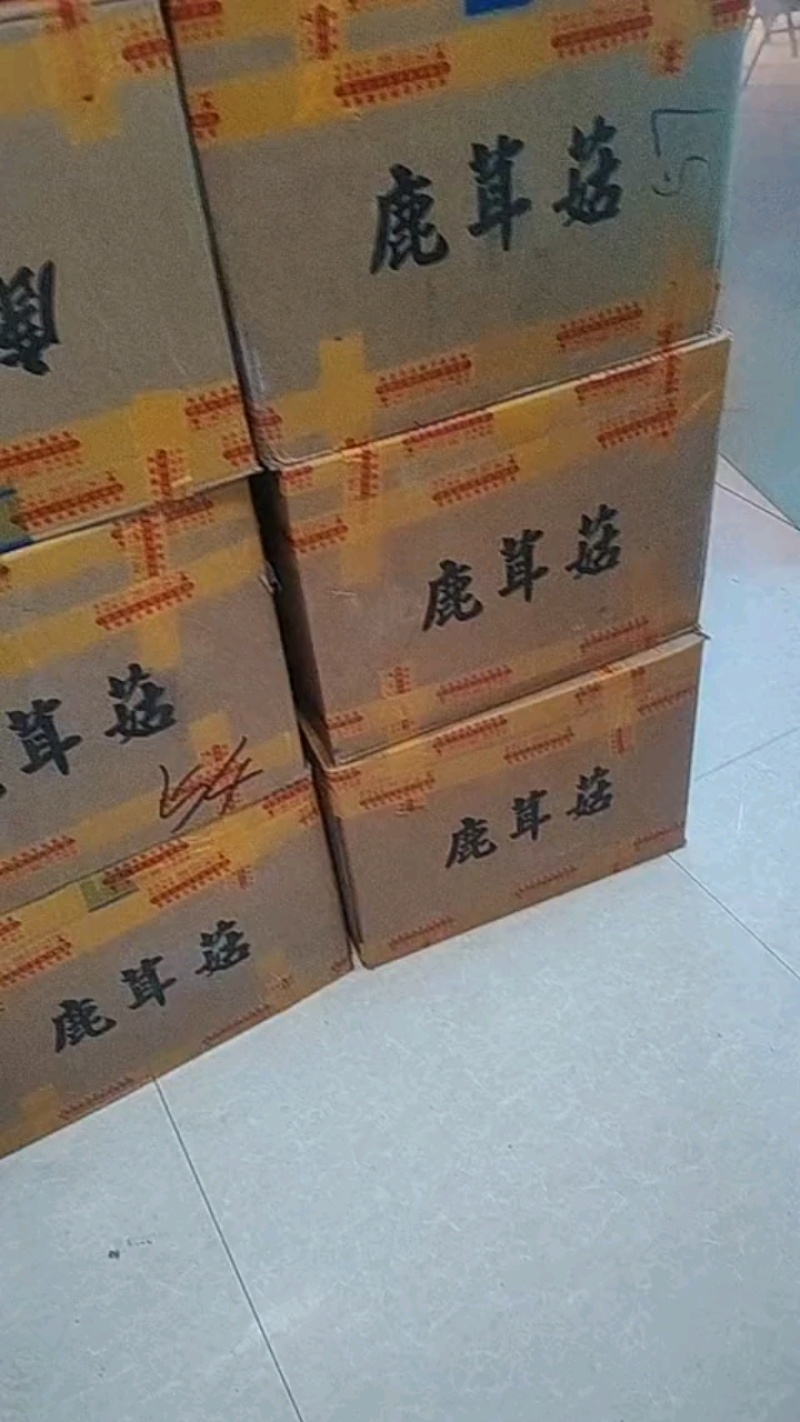 头茬好货，放心吃！