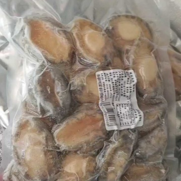 鲍鱼肉