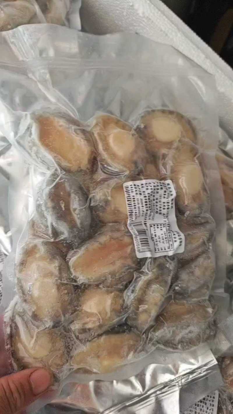 鲍鱼肉