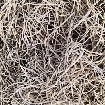 【推荐】宁夏银柴胡/自产自销/品质保证/量大优惠/视频看