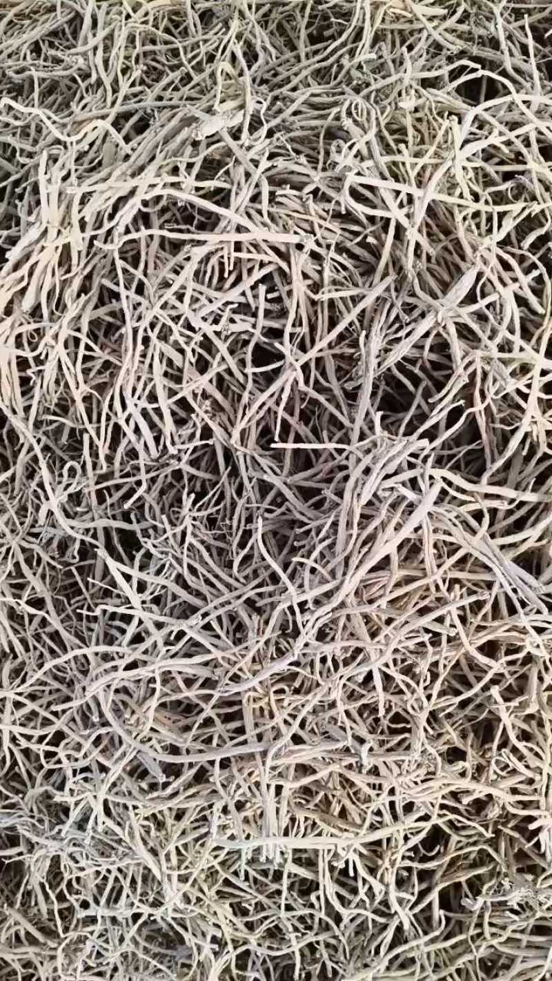 【推荐】宁夏银柴胡/自产自销/品质保证/量大优惠/视频看