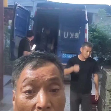 陕西渭南樱桃现场装车，发往榆林市场。