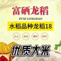 黑龙江富硒龙稻大米5kg产地直供