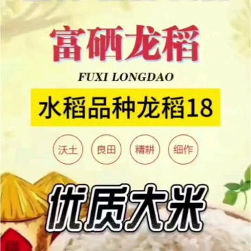 黑龙江富硒龙稻大米5kg产地直供