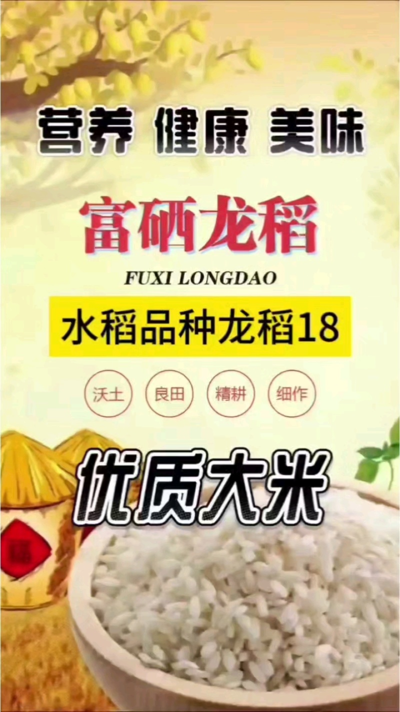 黑龙江富硒龙稻大米5kg产地直供