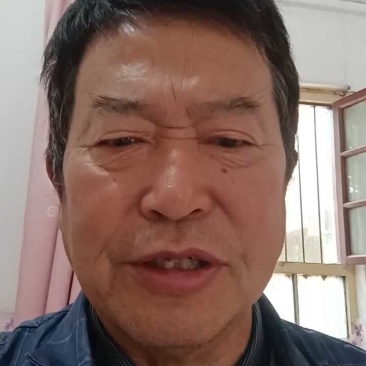 陕西礼泉县纸袋酥梨基地底色白香甜汁多对接商超