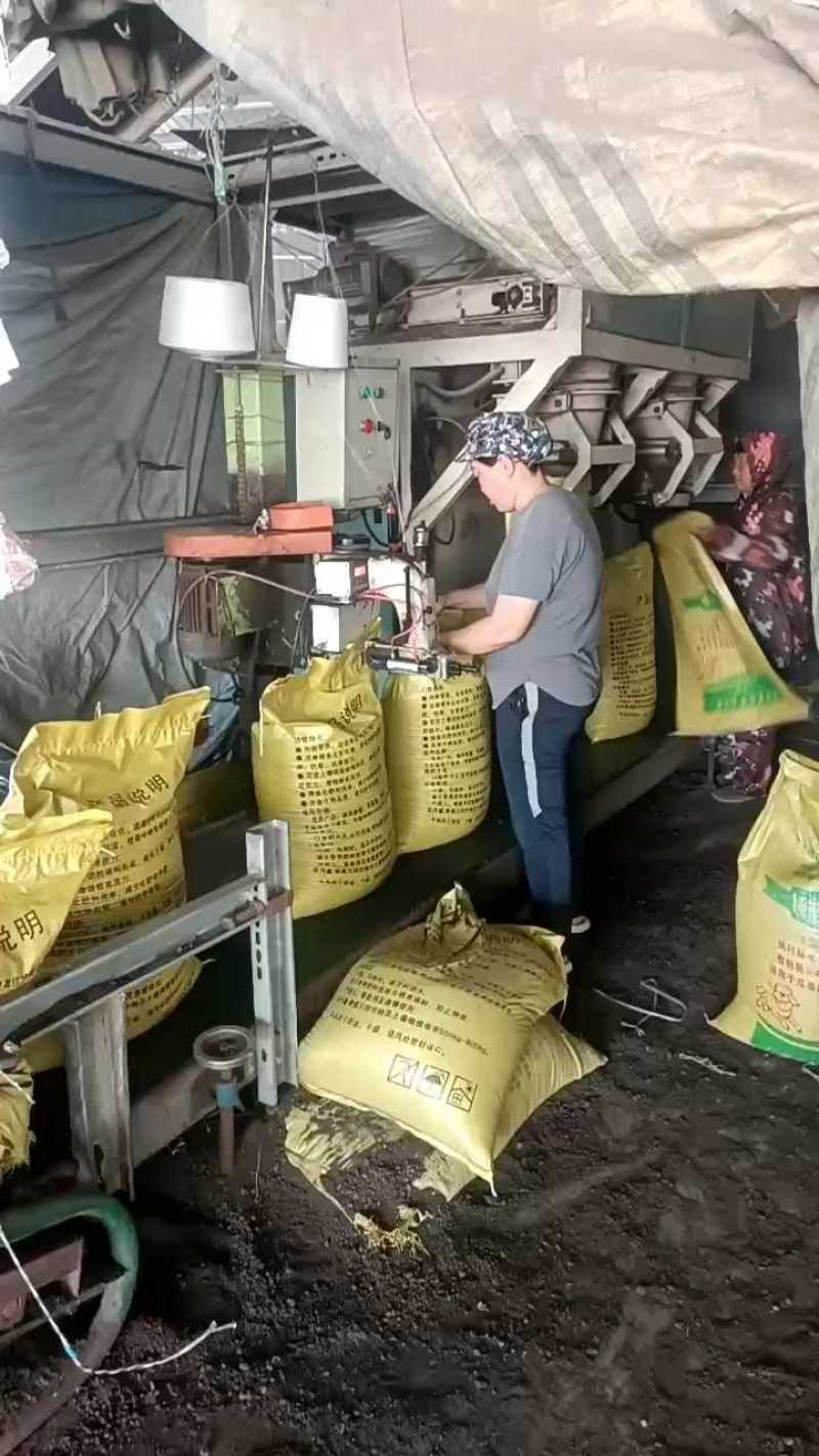 【实力推荐】河北发酵纯羊粪有机肥厂家直发视频看货