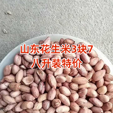 2025年海花花生米规格7-8对接商超电商食堂学校工厂，