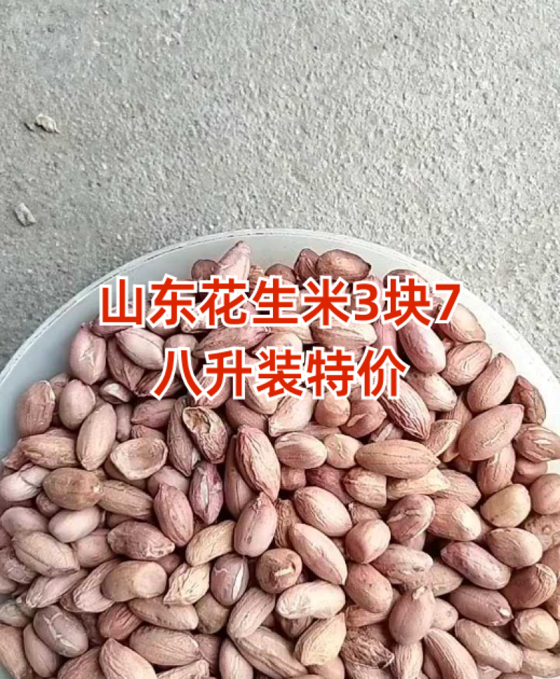 2025年海花花生米规格7-8对接商超电商食堂学校工厂，