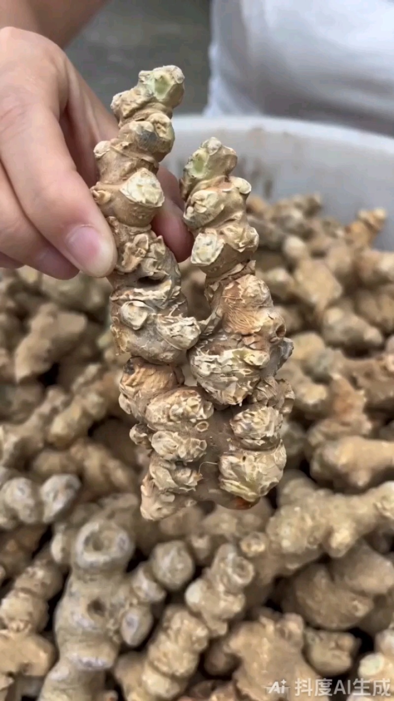 竹节参成品干货自产自销