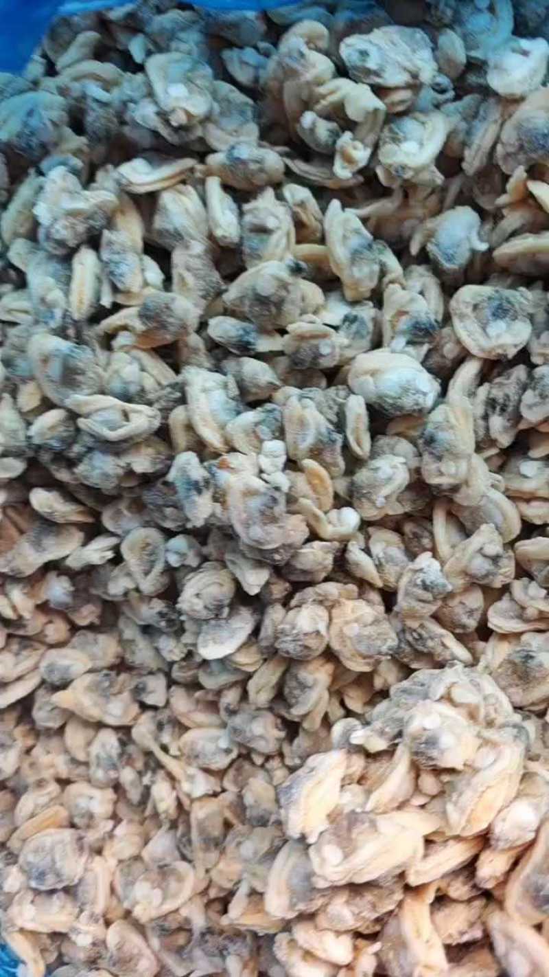 无沙花肉蛤蜊肉
