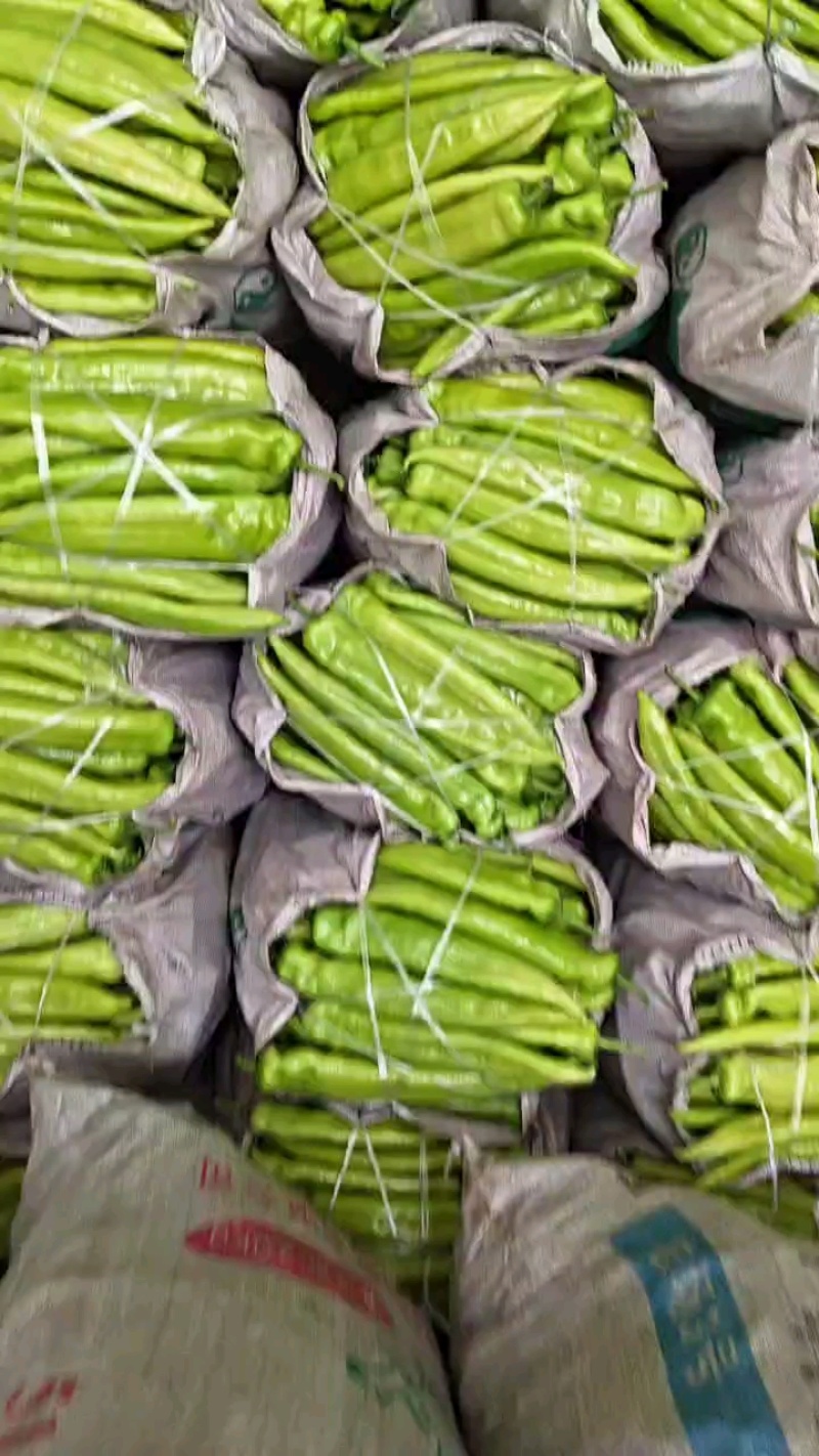 山东省潍坊青州市优质蔬菜大量上菜